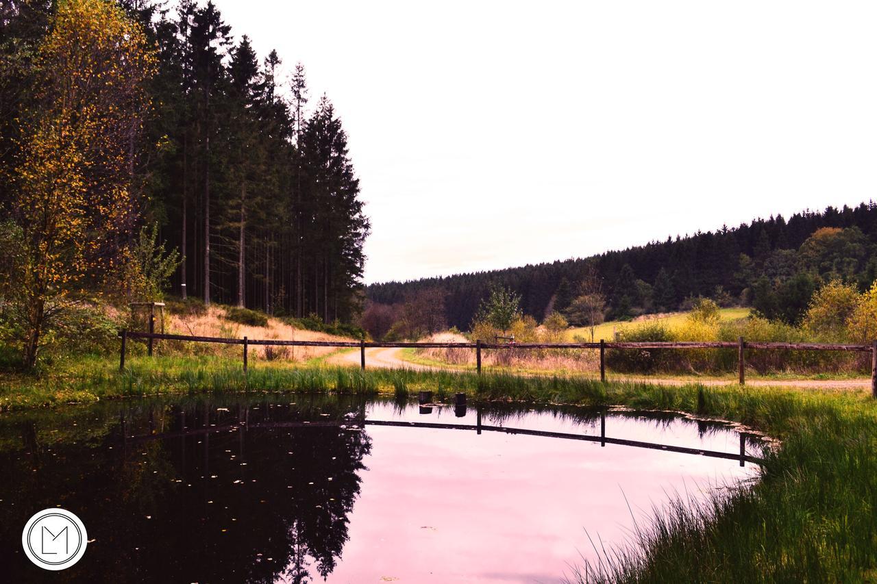 Chalet Le Forestier Bullange Zewnętrze zdjęcie