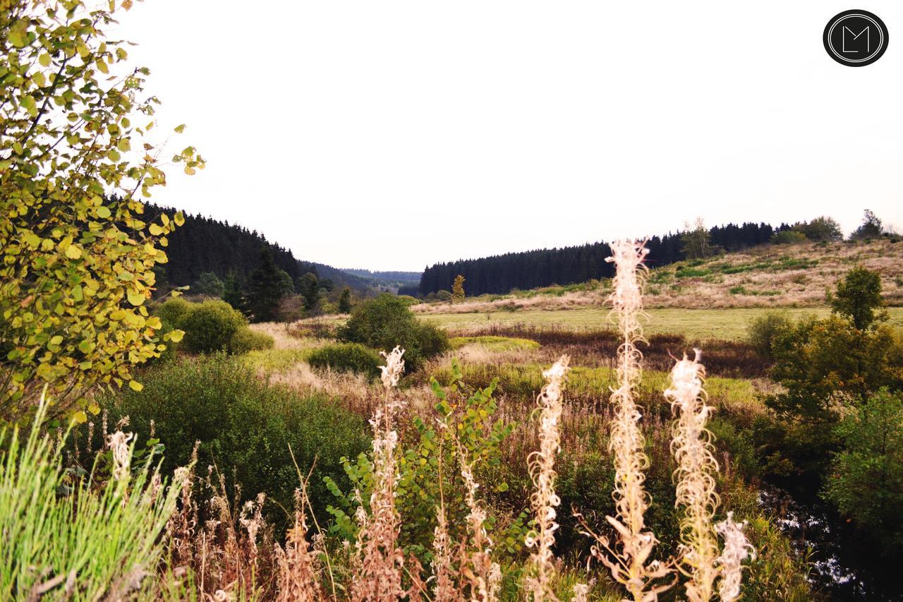 Chalet Le Forestier Bullange Zewnętrze zdjęcie
