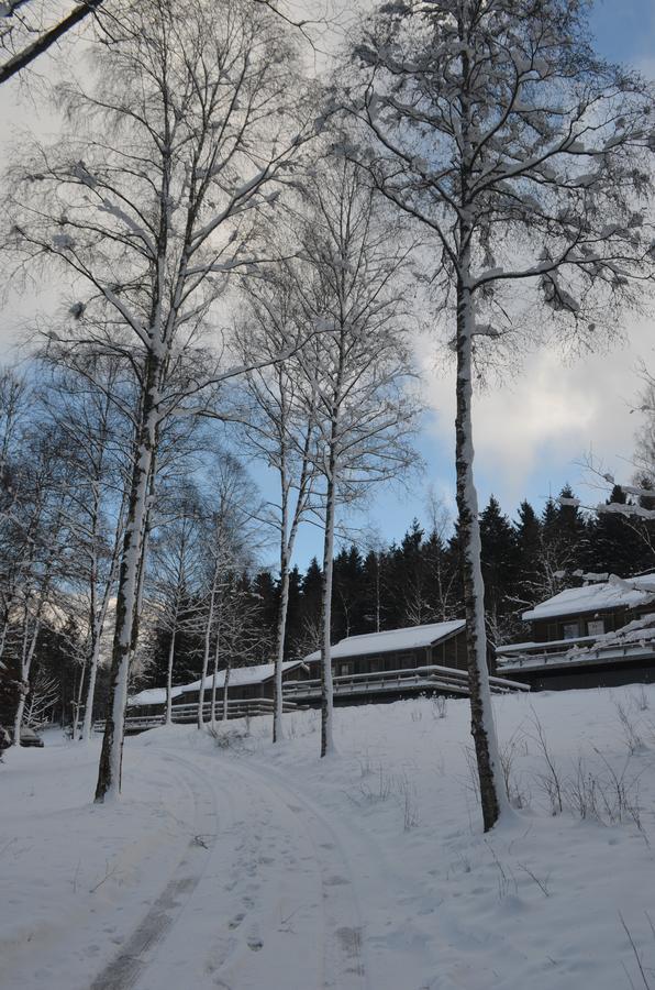 Chalet Le Forestier Bullange Zewnętrze zdjęcie
