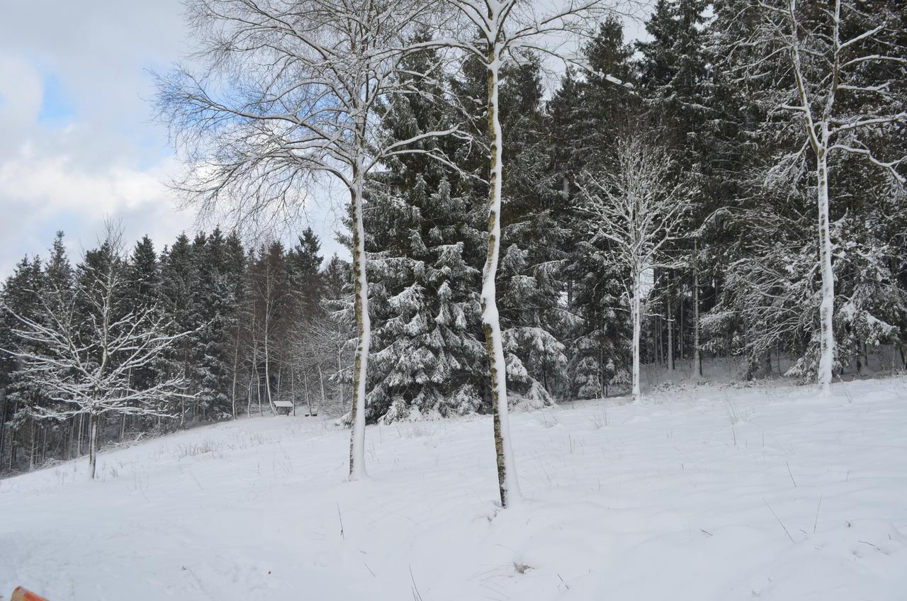 Chalet Le Forestier Bullange Zewnętrze zdjęcie
