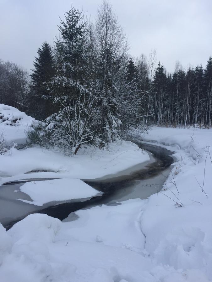 Chalet Le Forestier Bullange Zewnętrze zdjęcie