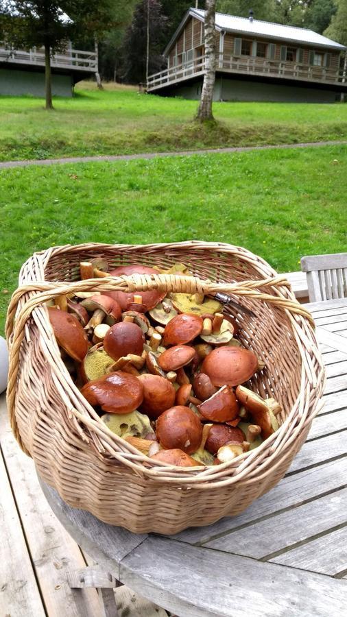 Chalet Le Forestier Bullange Zewnętrze zdjęcie