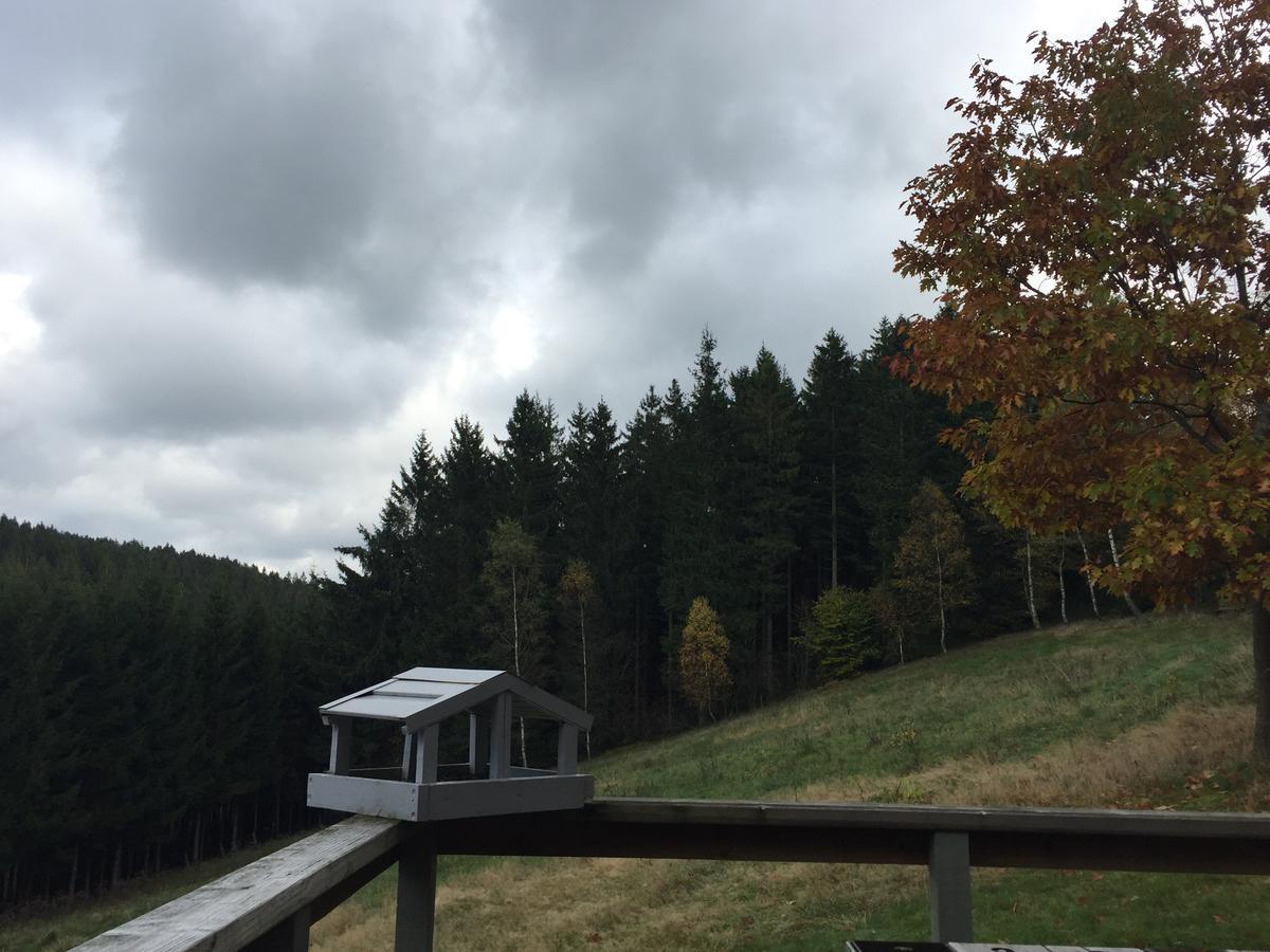 Chalet Le Forestier Bullange Zewnętrze zdjęcie